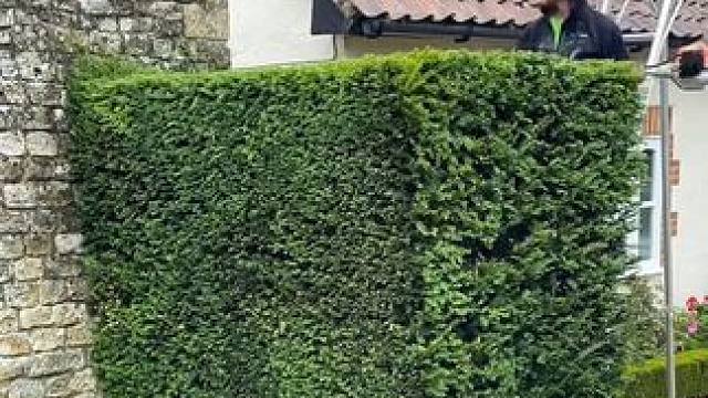 乡村庭院景观修剪工作！精致的私人庭院生活！ #解压视频 #极度舒适 #除草视频解压 #景观工程 #园