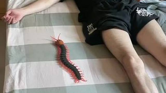 我发布了一个新视频，快来围观吧！