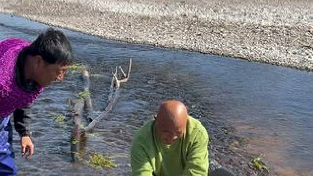 #户外捕鱼 #好多鱼