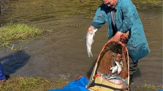 #户外捕鱼 #好多鱼