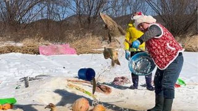 #户外捕鱼 #好多鱼