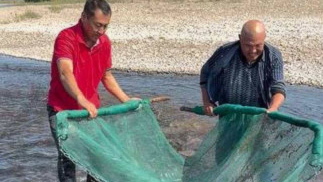 #户外捕鱼 #好多鱼