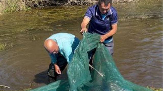 #户外捕鱼 #好多鱼