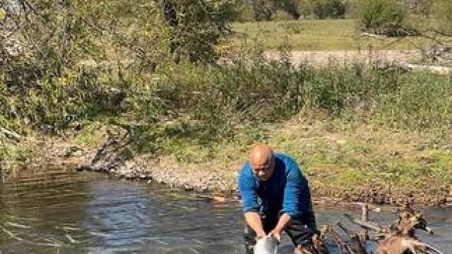 #户外捕鱼 #好大一条鱼