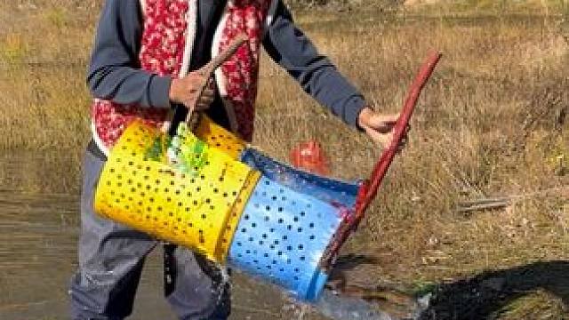 #户外捕鱼 #好多鱼