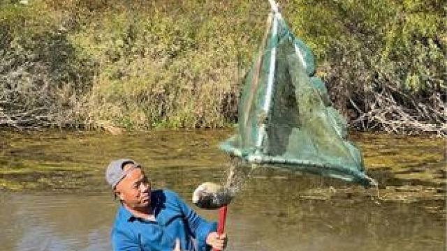 #户外捕鱼 #好大一条鱼