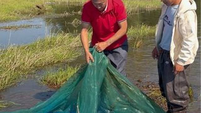 #户外捕鱼 #好多鱼