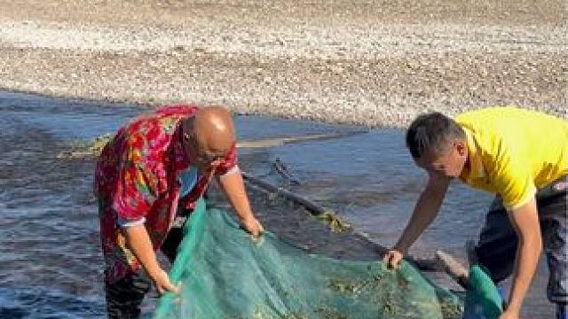 #户外捕鱼 #好多鱼