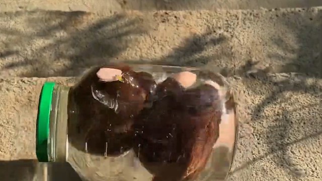 楼梯滚瓶子爆破解压时刻