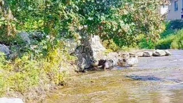 #农村生活 #家乡小河 #莱芜篇（170）上法山村，据村碑记载，明成化年间，孙姓迁此定居，原名刷干村