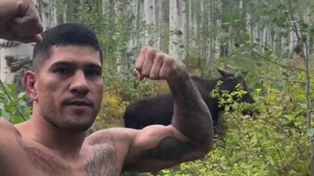 佩雷拉问你这是什么啥玩意