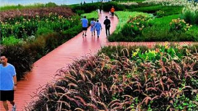 早安中国，早安广元，早安嘉陵江☕☕☕#一帧中国.大美广元 #看身边变化讲广元故事 #一花一草一世界 