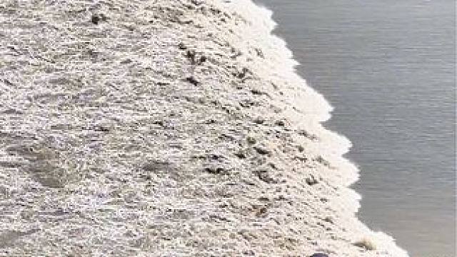 登百年占鳌塔，观千年钱江潮，一幅自然与人文的优美画卷#钱塘江大潮 #占鳌塔 #海宁观潮