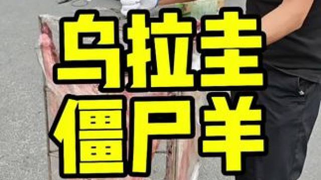 乌拉圭僵尸羊 #流动烤全羊#烤全羊#美食 #烤全羊外酥里嫩