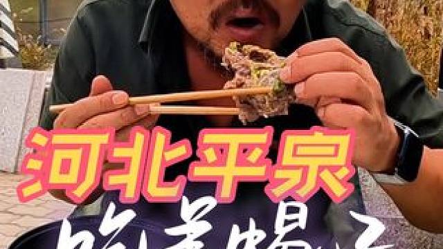 4000公里高速挑战，来到河北平泉吃羊蝎子，真厉害#房车生活 #户外美食美景