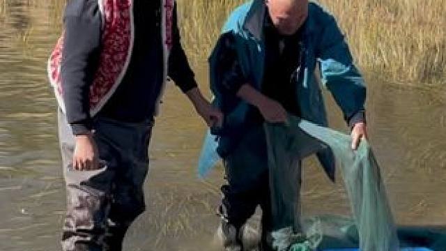 #户外捕鱼 #好多鱼