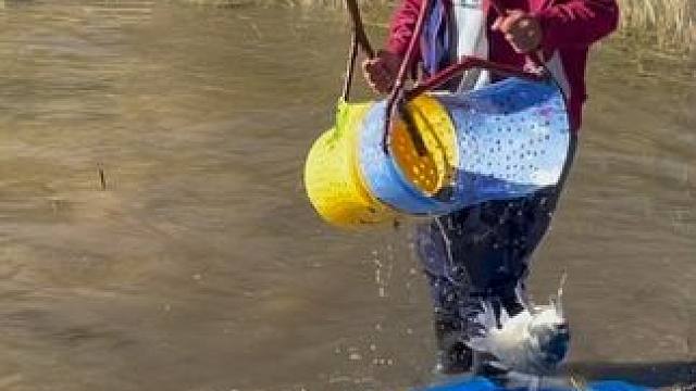 #户外捕鱼 #好大一条鱼