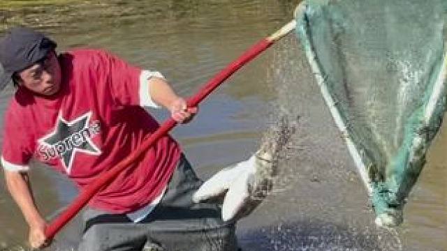 #户外捕鱼 #好大一条鱼