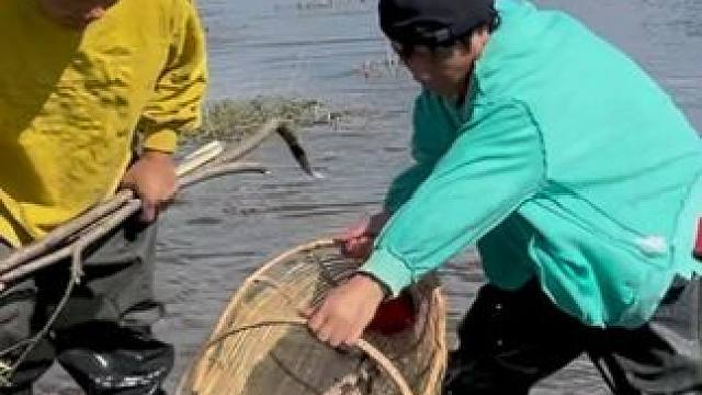 #户外捕鱼 #好多鱼