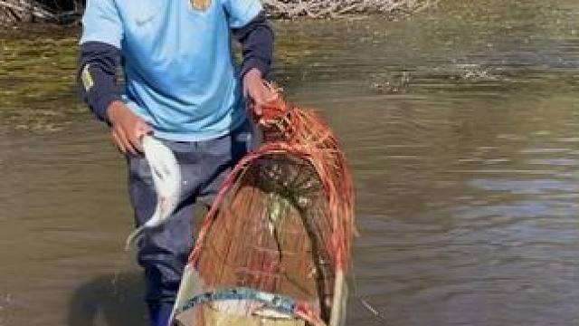 #户外捕鱼 #好多鱼