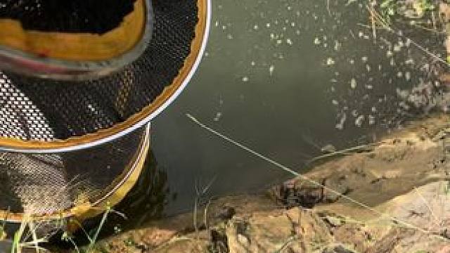 #野钓也是一种乐趣