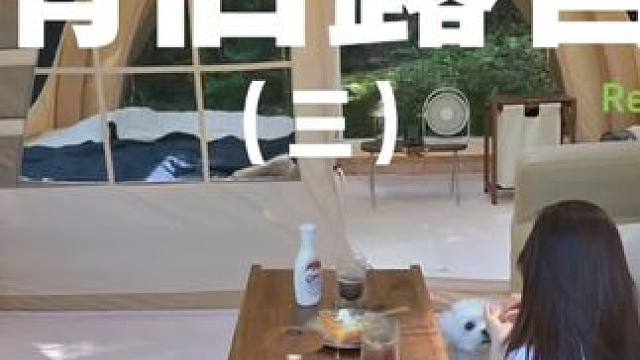 情侣露营（三）#露营 #解压 #助眠 #萌宠 #情侣