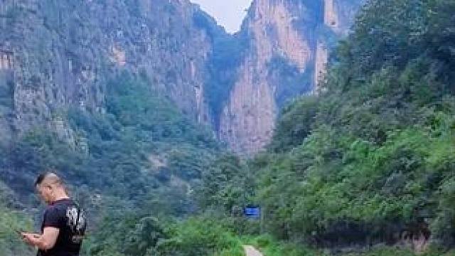 红豆杉大峡谷 #河南刚哥#随拍#志刚在路上