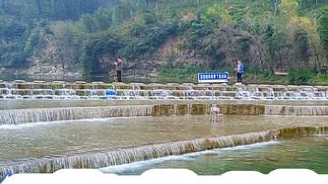 武家湾 #随拍志刚在路上#河南刚哥