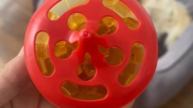 和小飞虫说拜拜！！再也不怕飞来飞去的膈应人了！！对宠物非常友好#安速杀蝇饵剂 #厨房好物 #平价好物