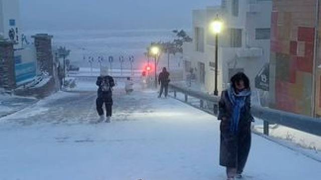 要是今年能跟你去海边看雪就好了.
#威海 #氛围感 #雪