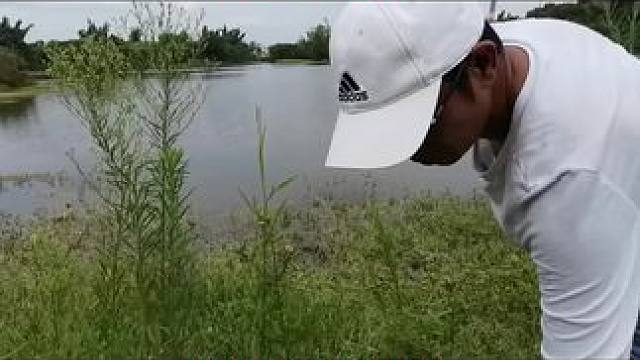 自制麦子打窝你满意吗？空军基地水库 自制麦子打窝
你满意吗？自制麦子打窝
你满意吗
空军基地水库
#