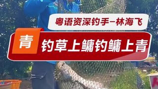 钓草上鳙钓鳙上青 钓草鱼上大头，钓大头上青鱼，浮水料的用处……