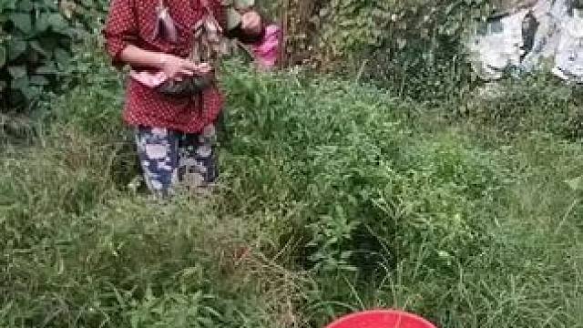 山卡卡里的农村大姐学费了开直播每天收获满满满您还在恐播怕播不敢开播开播了不知说什么吗#记录真实生活 