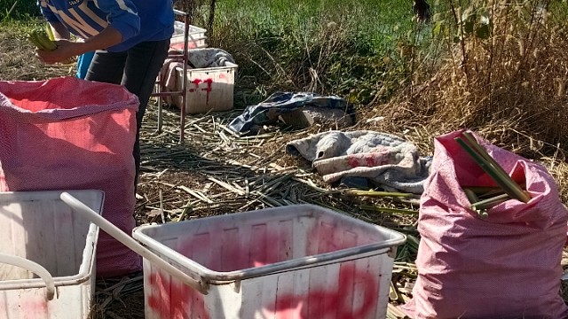 乡下小子自家农田灌溉交白户