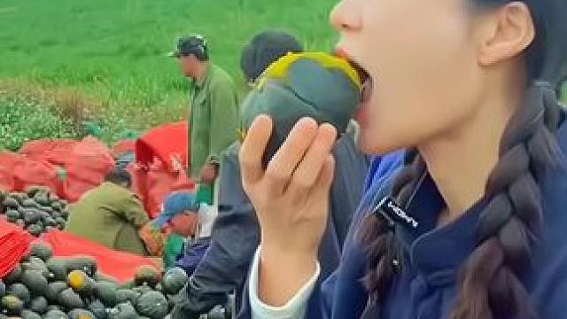 #贝贝南瓜#现摘现发新鲜到家 #优质农产品