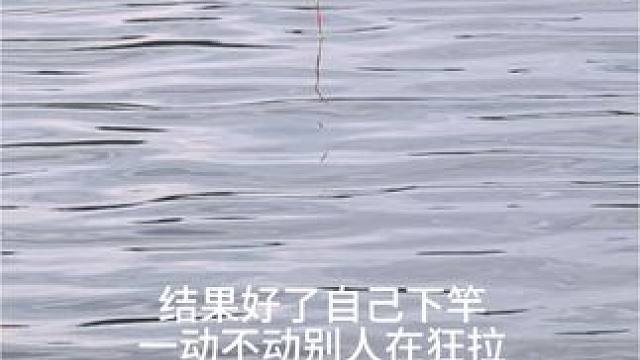 中秋假期的快乐是钓鱼给的~