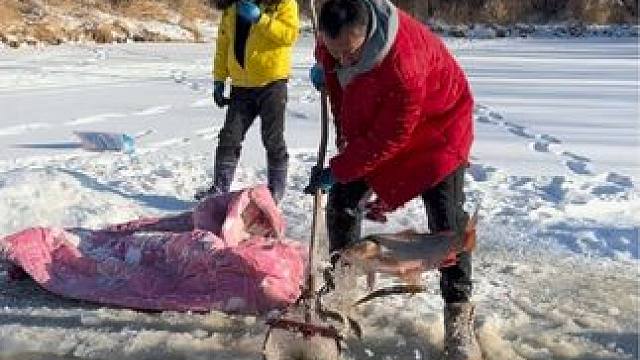 #户外捕鱼 #好大一条鱼