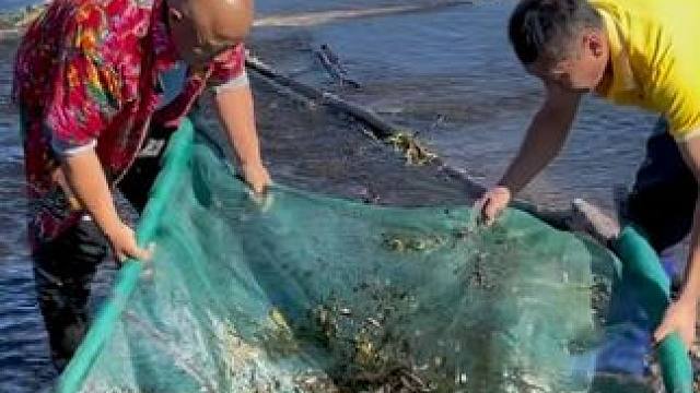 #户外捕鱼 #好多鱼