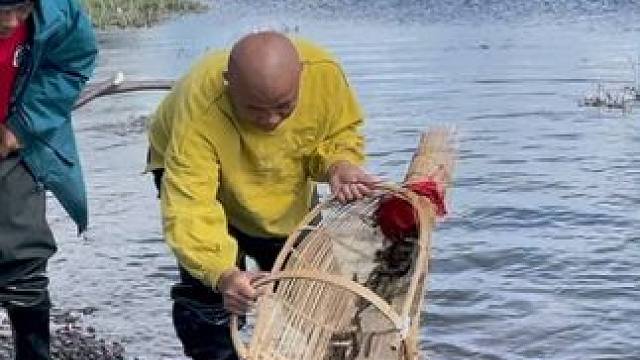 #户外捕鱼 #好多鱼