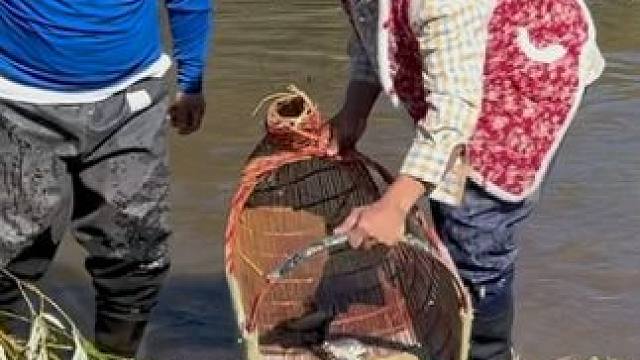 #户外捕鱼 #好多鱼