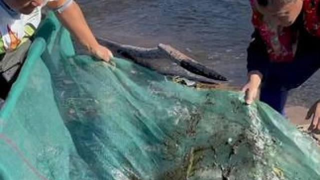 #户外捕鱼 #好多鱼