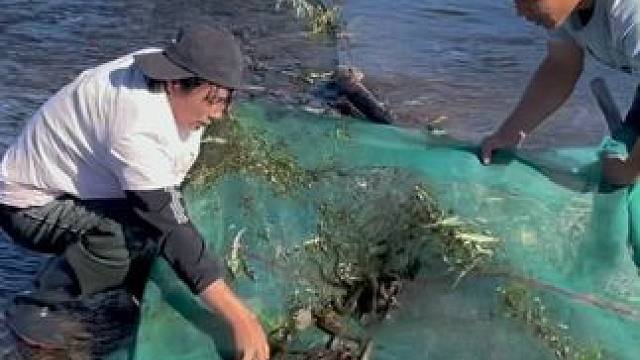 #户外捕鱼 #好多鱼