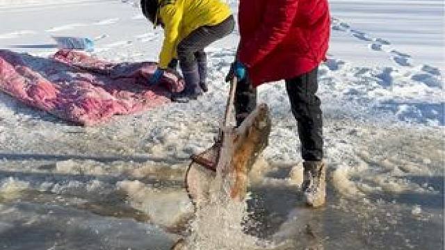 #户外捕鱼 #好大一条鱼