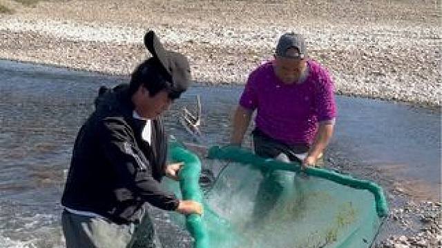 #户外捕鱼 #好多鱼