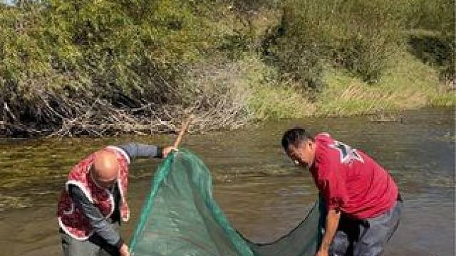 #户外捕鱼 #好多鱼