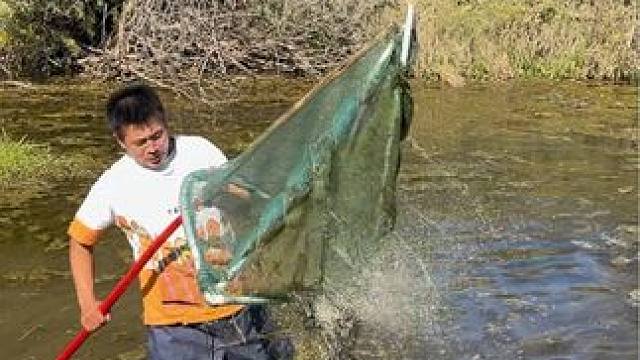 #户外捕鱼 #好大一条鱼