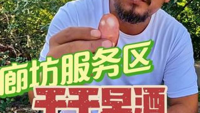 蹭8000里高速第四天，来到廊坊服务区，干干早酒看看吃的啥 #房车旅行