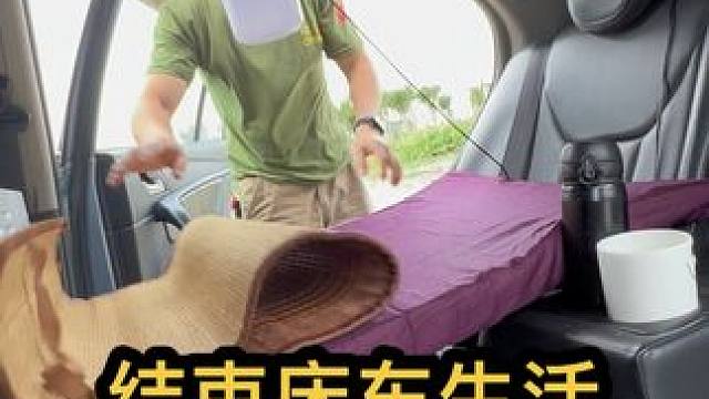 漂泊人 流浪狗#流浪 #萌宠