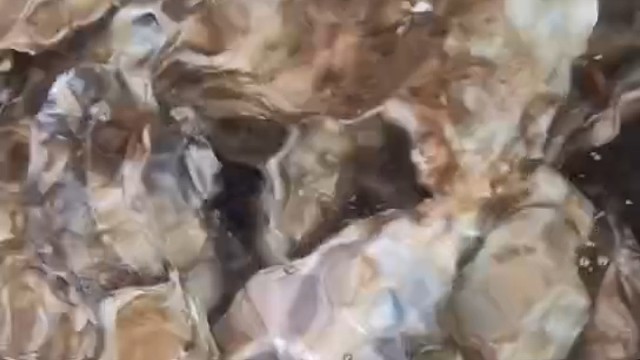 幸福乳山，唯美生蚝