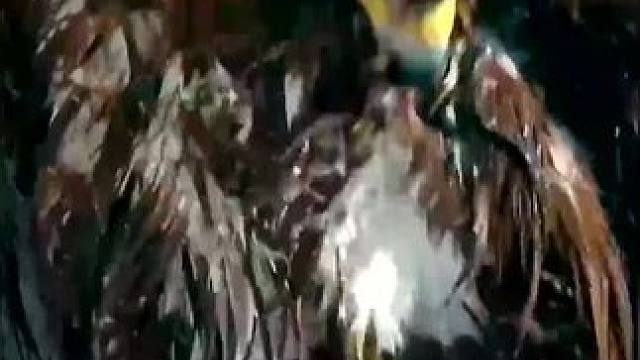 下载《西瓜视频》，免费观看精彩后续/精彩海量免费短剧免费看......下载《西瓜视频》，免费观看精